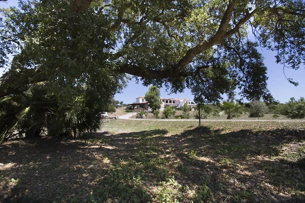 Nocleg ze śniadaniem Las Palmas Alghero